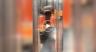 An American's Vile Act