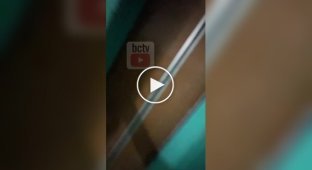 Женщина застукала парочку, решившую уединиться в лифте