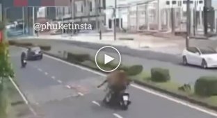 Nobody likes motorcyclists