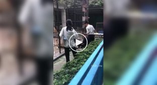 A 10-year-old girl nearly died due to the negligence of a zookeeper.