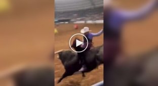 A father saved his son from an angry bull