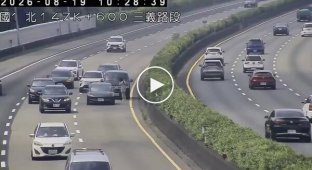 People who like standing on the highway