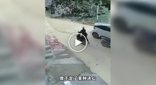 Підбірка з безліччю смішних, безглуздих і хворобливих інцидентів пов'язаних з мопедами