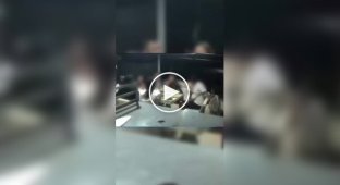 A man rammed his ex-wife and her friends while they were dining at a cafe