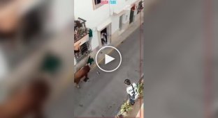 In Spain, a bull gored a man who was unable to escape during a race