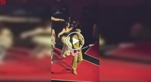 Фанатка провалилася під час концерту Machine Gun Kelly