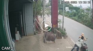 Attempt on a police officer in Vietnam
