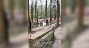 Делай так каждый день и спина не будет