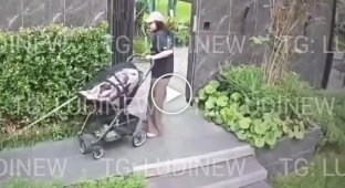 In Vietnam, a woman abandoned her baby's stroller to save her dog