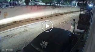 Внук забыл поставить авто на ручник и насмерть задавил бабушку