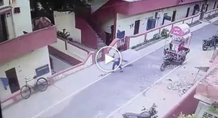 Лінь до добра не доводить