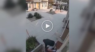 A man saves a cat from a pit bull attack