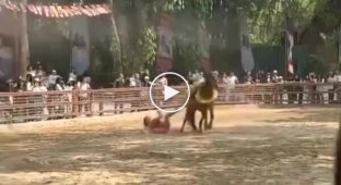 Кінь протягнув артистку по землі під час туристичного шоу