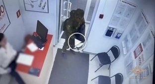 Daring jewelry store robbery