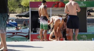 Забавные фотографии для взрослых