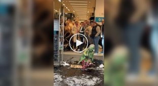 Защитники окружающей среды устроили перформанс