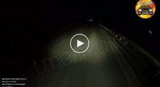 A sudden obstacle on a night road