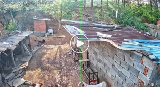 Куриный суп на ужин