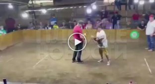 In Mexico, a fighting rooster with iron spurs attacked its owner