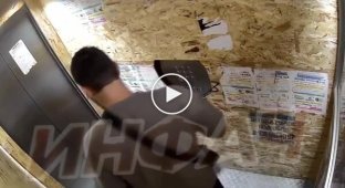 Мужчина избил щенка в лифте