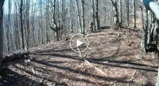 A man fought off a she-bear with an axe