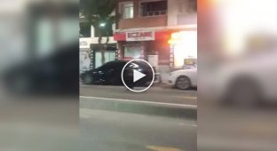 Кабан устроил переполох в турецком городе