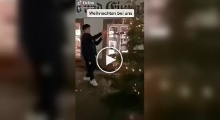 In Germany, a visitor knocked down a Christmas tree and tore down decorations