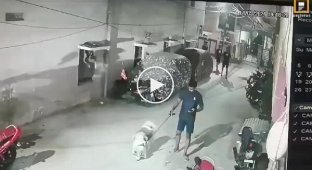 Passers-by beat up a man who didn't keep an eye on his dog