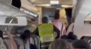 The boy was removed from the flight for refusing to fasten his seat belts (4 photos + 1 video)