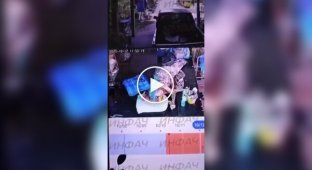 A cobra bit a sleeping old woman in Thailand