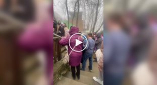 What a jerk!: In Gelendzhik, two women fought in line at a safari park.