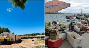 «Уб'ємо чоловіків, заберемо жінок»: ФБР упіймало «революціонерів», які мріяли про рабинь (4 фото)