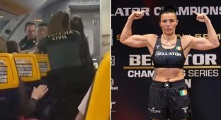 Жінка-боєць ММА побила двох поліцейських на борту літака (5 фото + 1 відео)