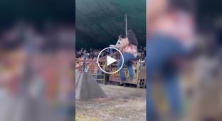 И как всегда все проблемы, из-за одной большой попы