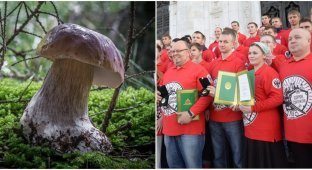 Orthodox activists complained to the prosecutor's office about mushroom sculptures in Komi (2 photos + 1 video)