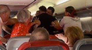 They bit the neck and spat with their teeth: drunk passengers started a fight on the plane (2 photos + 1 video)