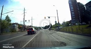 BMW driver crushes ducklings crossing the road at a pedestrian crossing