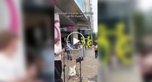 В Англии уличный артист подвергся нападению