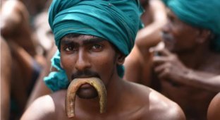 Bite the rat: an unusual protest in India (5 photos)