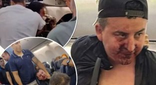 Airplane passengers Man beaten up while trying to open door mid-flight (5 photos + 1 video)