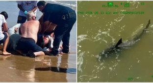 Sharks attacked people near the beach in Texas and Florida (3 photos + 2 videos)