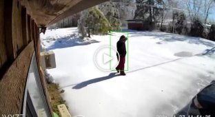 Жительница Теннесси подала в суд на арендодательницу после падения навеса