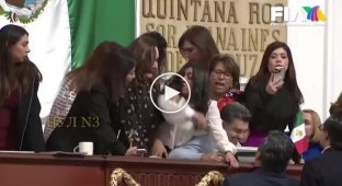 Female brawl in the Mexican parliament