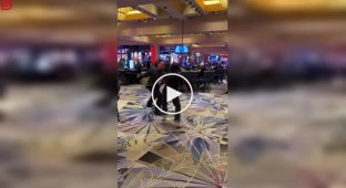 Безумство Лас-Вегаса: охоронець схопив не того