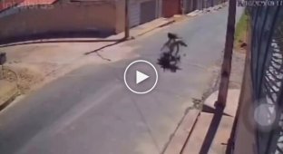 Collision with a horse