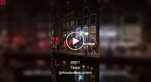 Не стоит злить полицейских в квартале красных фонарей Амстердама