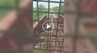 Случай на железной дороге в Индии