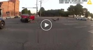 Dog playing with a toy. Las Cruces, New Mexico.