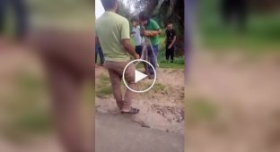 Напад великої змії на чоловіка потрапив на відео