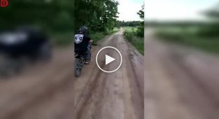 Мотоцикліст зіткнувся з оленем — і програв